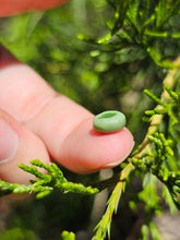 Load image into Gallery viewer, Evolution stones pearls