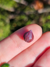 Load image into Gallery viewer, Vegetable pearl Sale (40 each or three for 90)