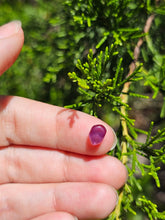 Load image into Gallery viewer, Evolution stones pearls