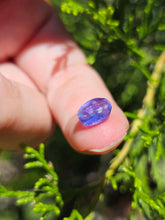 Load image into Gallery viewer, Evolution stones pearls