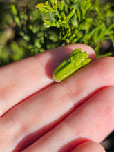 Load image into Gallery viewer, Vegetable pearl Sale (40 each or three for 90)