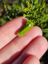 Load image into Gallery viewer, Vegetable pearl Sale (40 each or three for 90)