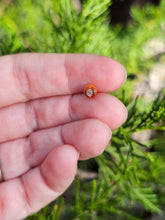 Load image into Gallery viewer, Kenny head pearl 4.5mm - made to order