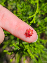 Load image into Gallery viewer, Evolution stones pearls