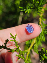 Load image into Gallery viewer, Evolution stones pearls