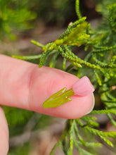 Load image into Gallery viewer, Tulip pillar