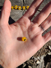 Load image into Gallery viewer, Jake the Dog pearl