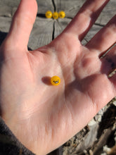 Load image into Gallery viewer, Gudetama Egg pearl