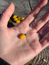 Load image into Gallery viewer, Pineapple pearl