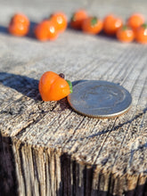 Load image into Gallery viewer, Peach Pearl