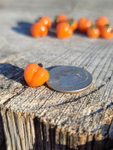 Load image into Gallery viewer, Peach Pearl