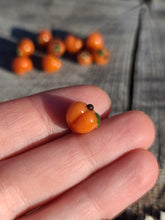 Load image into Gallery viewer, Peach Pearl