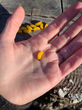 Load image into Gallery viewer, Banana pearl