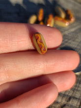 Load image into Gallery viewer, Hotdog pearl