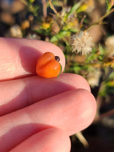 Load image into Gallery viewer, Peach Pearl