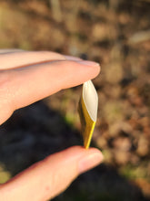 Load image into Gallery viewer, Funyuns pearl set