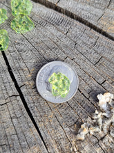 Load image into Gallery viewer, Uv reactive Shatter pearl