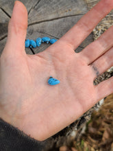 Load image into Gallery viewer, Ocarina pearl