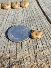 Load image into Gallery viewer, Chocolate Chip Cookie pearl