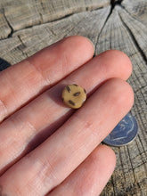 Load image into Gallery viewer, Chocolate Chip Cookie pearl