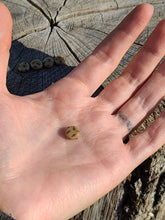 Load image into Gallery viewer, Chocolate Chip Cookie pearl