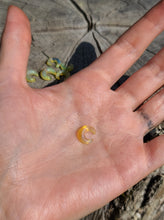 Load image into Gallery viewer, Moon pearl