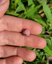 Load image into Gallery viewer, Rose pearl