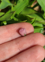 Load image into Gallery viewer, Rose pearl