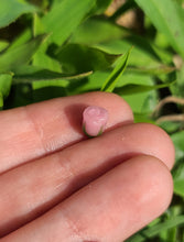 Load image into Gallery viewer, Rose pearl