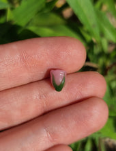 Load image into Gallery viewer, Rose pearl