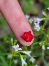 Load image into Gallery viewer, Terpy Titties pearl