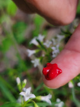 Load image into Gallery viewer, Terpy Titties pearl