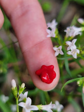 Load image into Gallery viewer, Terpy Titties pearl