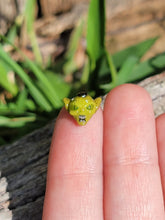 Load image into Gallery viewer, Goblin pearl