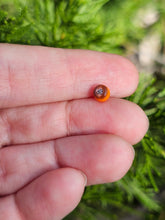 Load image into Gallery viewer, Kenny head pearl 4.5mm
