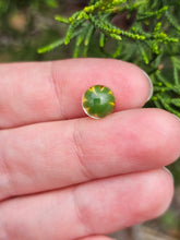 Load image into Gallery viewer, Flower pearl collab with glass_by_blake
