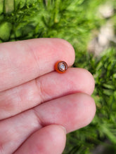 Load image into Gallery viewer, Kenny head pearl 4.5mm
