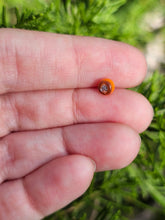 Load image into Gallery viewer, Kenny head pearl 4.5mm
