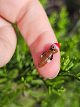 Load image into Gallery viewer, Mr. Hankey pearl
